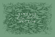 Vintage Bundle 2500+ Free Update, an Animal Illustration by Retro Machine (Thumbnail 137 of 170)