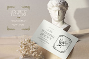 Aesthetics Flower | Illustration Kit, a Decorative Illustration by KetteCreate (Thumbnail 16 of 19)