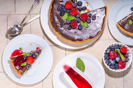 Homemade cheesecake with chocolate and berry, a Food & Drink Photo by Rimma