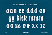 Philbert - Modern Script Font, a Script Font by Kochev Type (Thumbnail 3 of 12)
