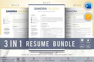 Professional Resume Template Bundle