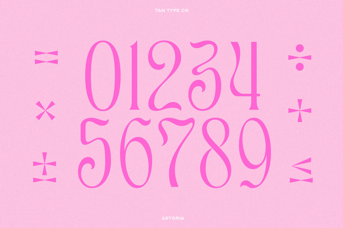 TAN - ASTORIA, a Serif Font by TanType (Photo 10 of 21)
