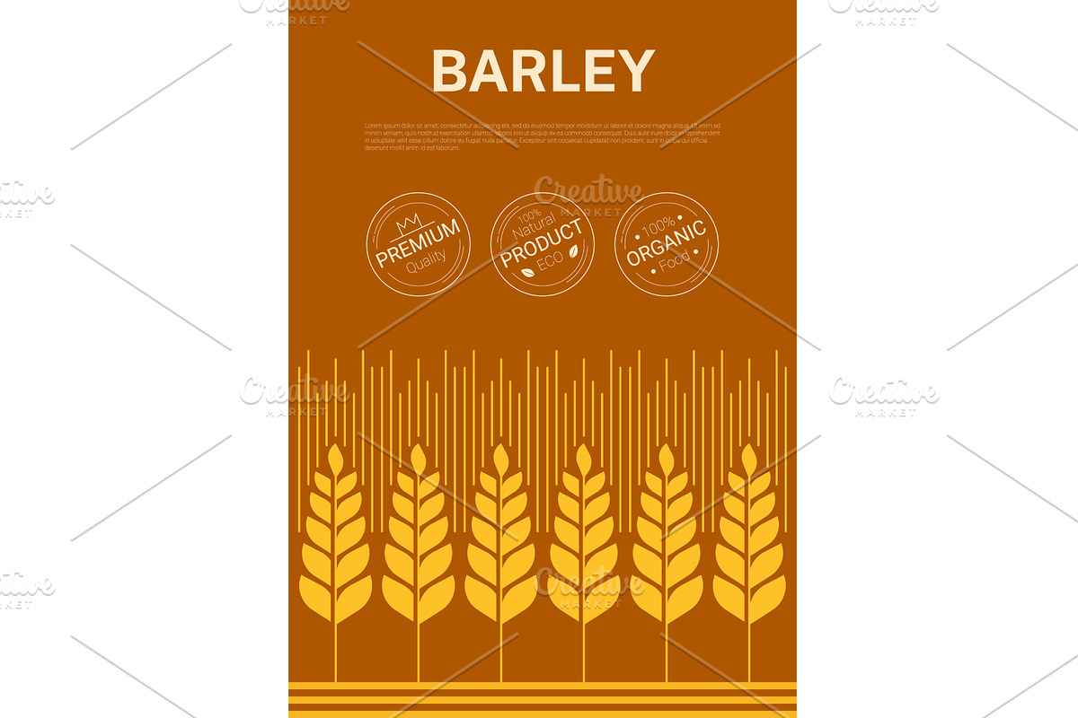 Modern cereal barley grains, an Object Illustration by Vector Tradition