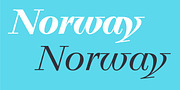 Legit Didone, a Serif Font by Finaltype (Thumbnail 12 of 13)