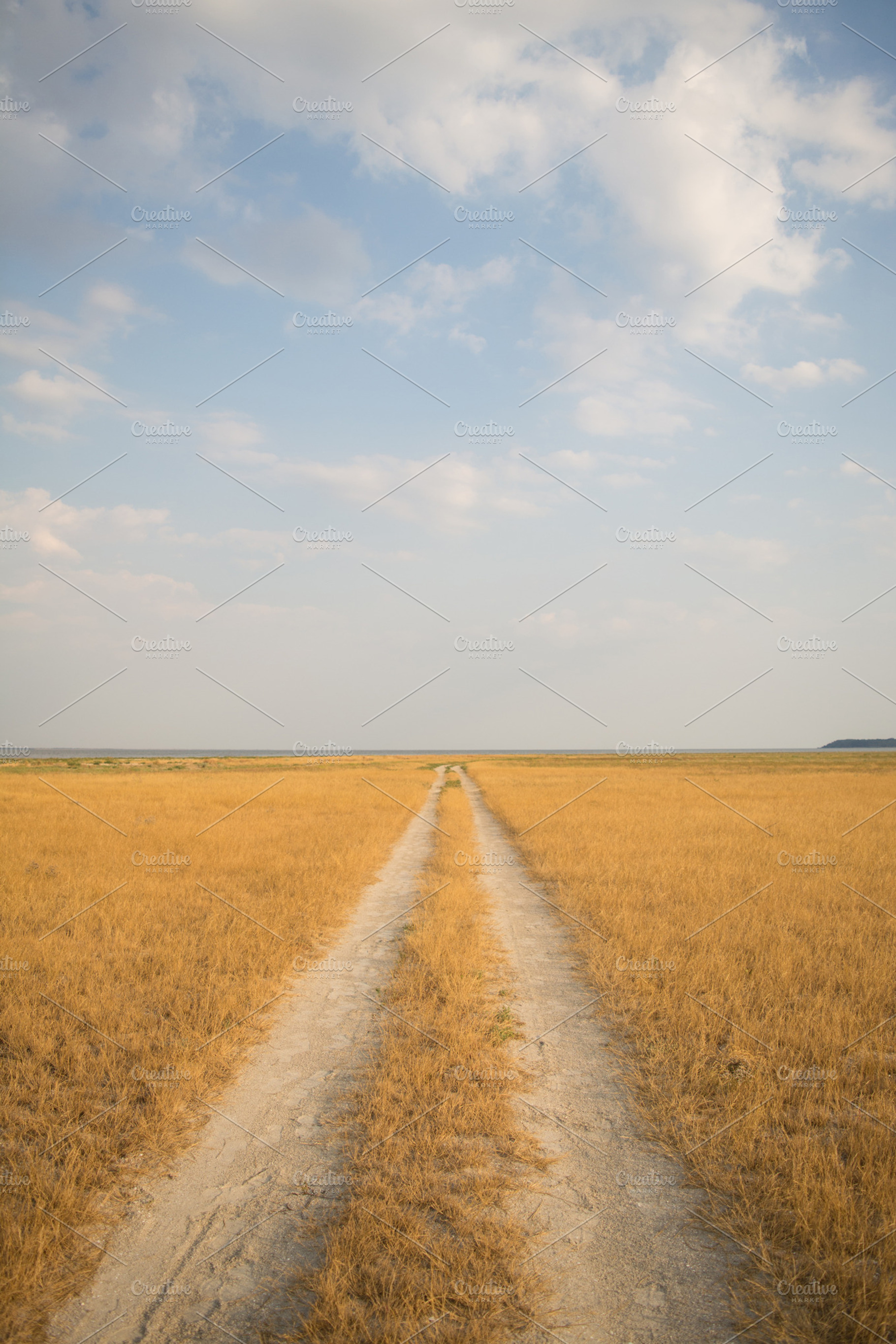 Field Countryside Sand Road