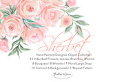 Watercolor Flowers - Sherbet, an Illustration by Feather Grace Designs (Thumbnail 7 of 7)