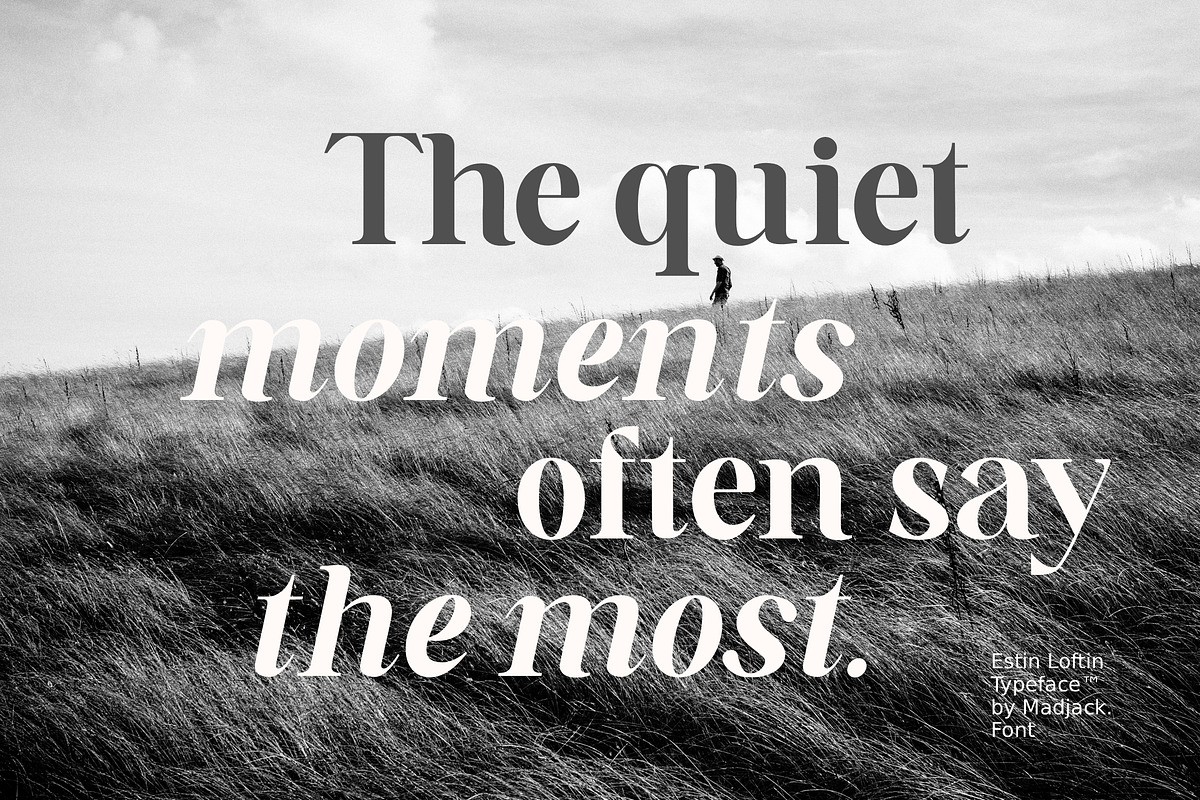 Estin Loftin Serif Font, a Serif Font by Madjack.font (Photo 5 of 15)