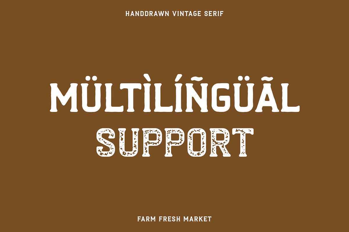 Farm Fresh Market - Sans Serif Font, a Serif Font by ariodsgn (Photo 4 of 8)