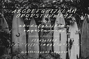 Pamlla Aesthetic Script Font, a Font by Hishand Studio (Thumbnail 8 of 8)