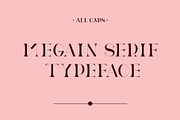 Megain Ligature Serif Typeface, a Serif Font by Humaira_std (Thumbnail 5 of 14)