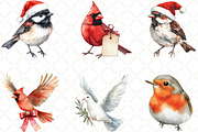 Winter Birds Christmas Clipart, an Illustration by Black Bird Studio (Thumbnail 4 of 6)