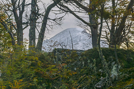 Tierra del fuego park landscape, argentina, a Nature Photo by DanFLCreativo