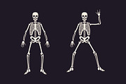 Skeletons icons. Skeleton hands, an Object Graphic by DenysHolovatiuk (Thumbnail 4 of 6)
