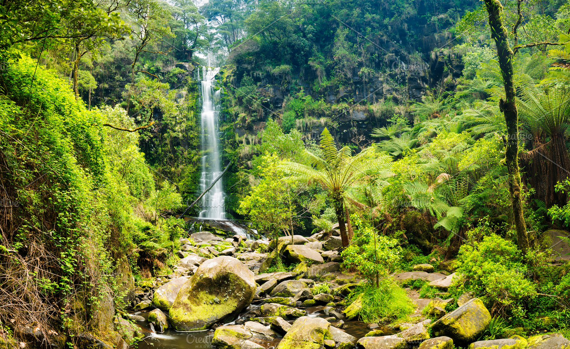 Erskine Falls Waterfall, a Nature Photo by THP Creative