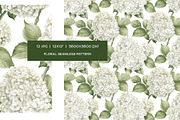 Watercolor white flowers patterns, a Pattern Graphic by Art and Funny (Thumbnail 5 of 7)