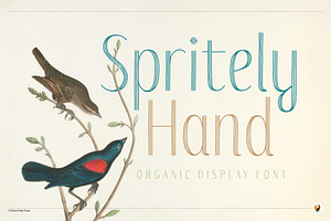 Spritely Hand — Organic Display Font