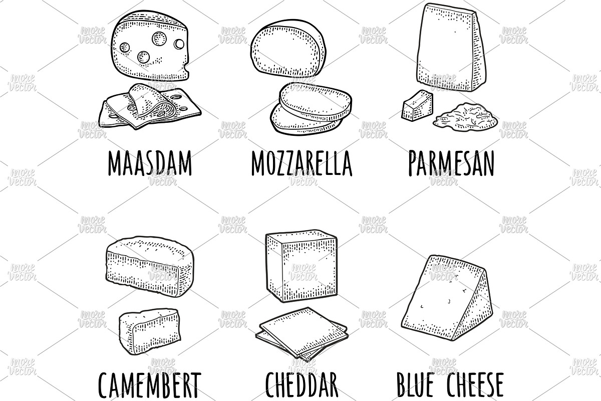 Different types cheese engraving, a Food Illustration by MoreVector (Photo 2 of 4)