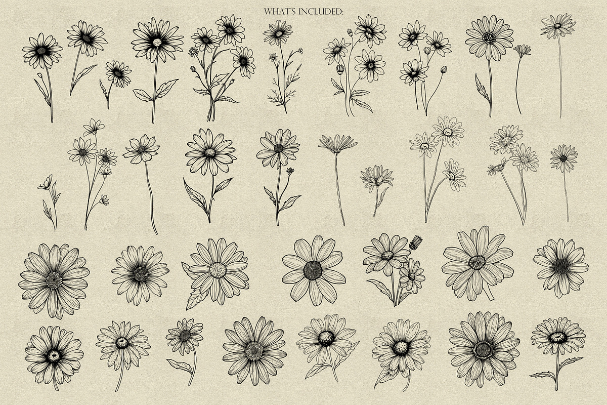 Daisy Procreate Stamp, a Brush Add-On by Dervik Art Store (Photo 3 of 6)