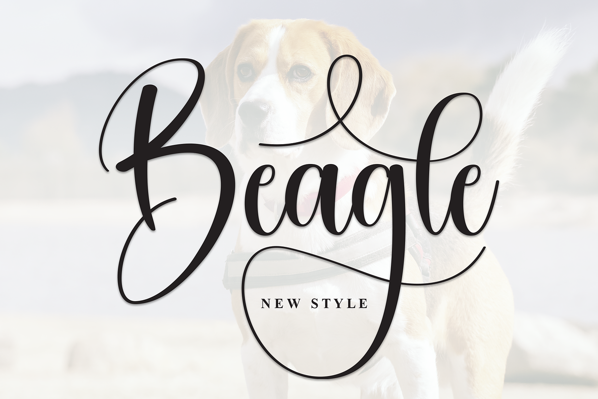 Beagle | Script Font, a Handwritten Font by Scratchones (Photo 1 of 9)