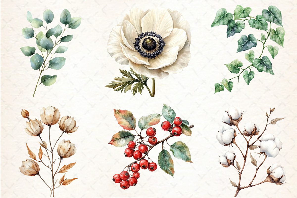 Vintage Botanical Clipart, an Illustration by Libby Wishes (Photo 2 of 6)