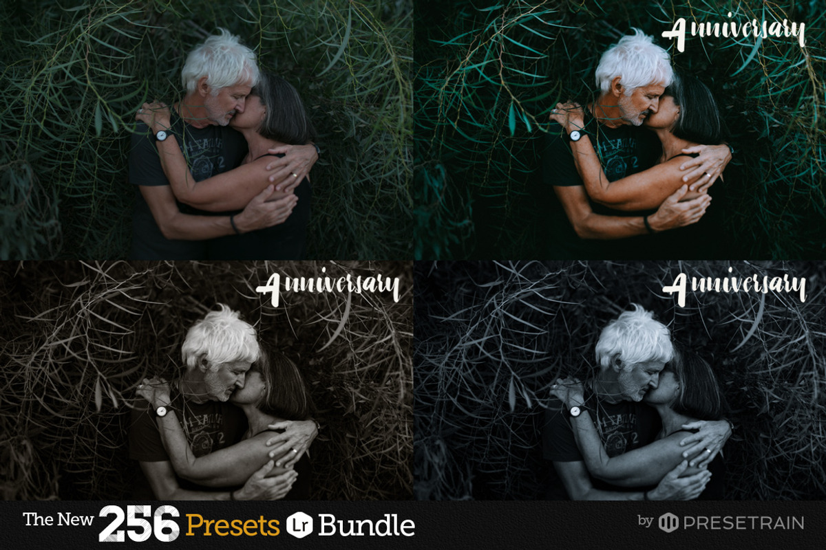 256 New Lightroom Preset Bundle, an Action Add-On by Presetrain Co. (Photo 4 of 51)