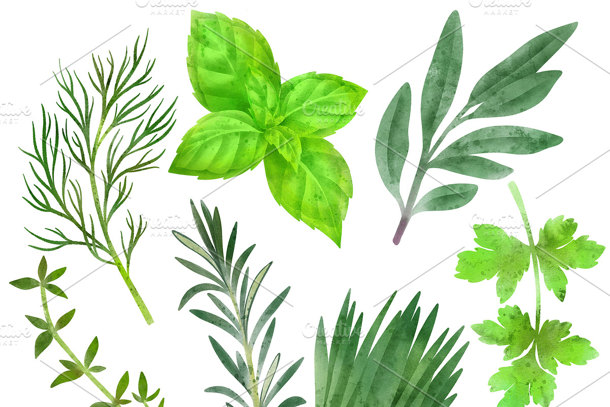 Vegetables, Herbs Watercolor Clipart, an Object Graphic by JSolomatina (Photo 4 of 15)