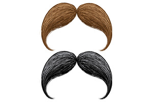 Stylish Moustache Vector Set