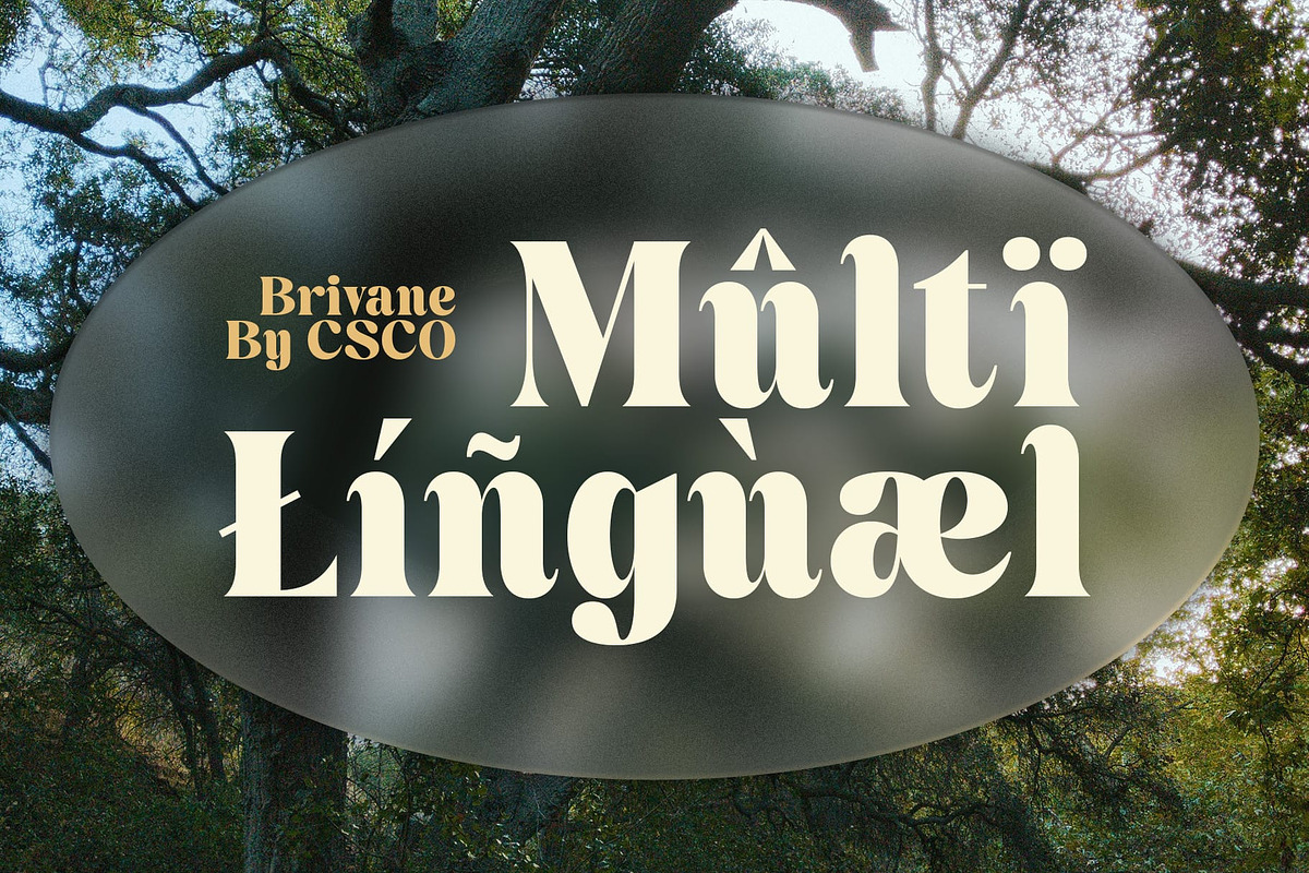 Brivane – Bold Font, a Serif Font by Craft Supply Co. (Photo 7 of 8)