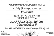Splattica – Distorted Hand-Inked, a Sans Serif Font by Creacy Studio (Thumbnail 3 of 11)