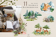 Forest Animals Watercolor Clipart, an Animal Illustration by AnitaPol (Thumbnail 9 of 19)