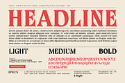 Epicus - Serif font family, a Font by Artistic & Unique (Thumbnail 7 of 14)