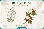 Boho Botanical Leaves Clipart Bundle, a Nature Photo by Actual Pixel (Thumbnail 18 of 21)