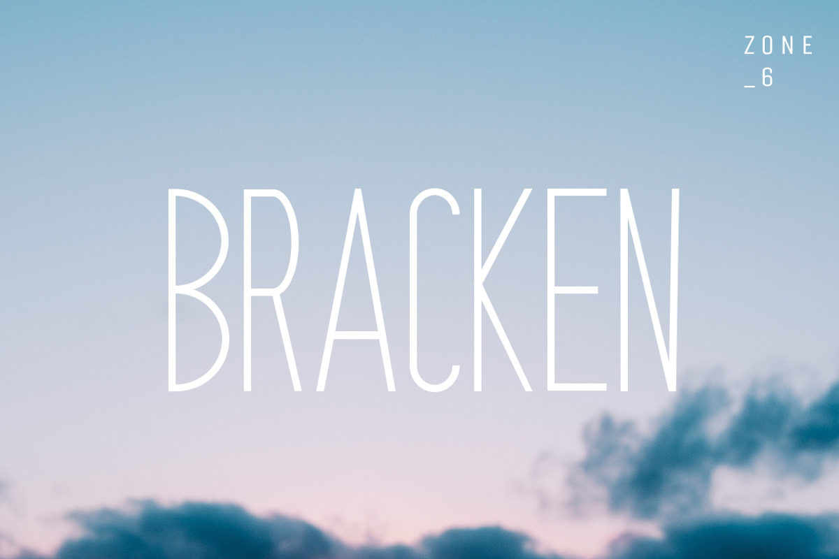Bracken | A Hipster Font Family, a Sans Serif Font by Zone 6 (Photo 1 of 8)