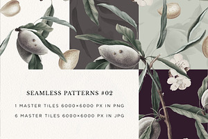 Vintage Almond Patterns & Elements