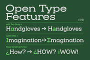 Slaab Font Family 45 Styles, a Slab Serif Font by That That Creative (Thumbnail 11 of 13)
