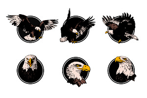Eagles Set