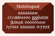 Zoris - Elegant Display Typeface, a Serif Font by MaikoHatta (Thumbnail 5 of 9)