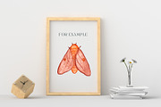Watercolor Insects, Biological Set, an Illustration by Mia Digital (Thumbnail 4 of 5)