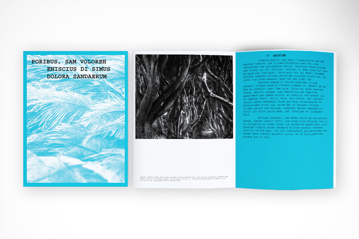 Modern Monochrome Brochure, a Brochure Template by McLittle Stock (Photo 4 of 4)
