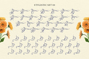 Bredlive Typeface, a Script Font by alit design (Thumbnail 9 of 20)