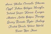 Bloomisty – Brush Handwritten Font, a Handwritten Font by MERCI STUDIO (Thumbnail 5 of 8)