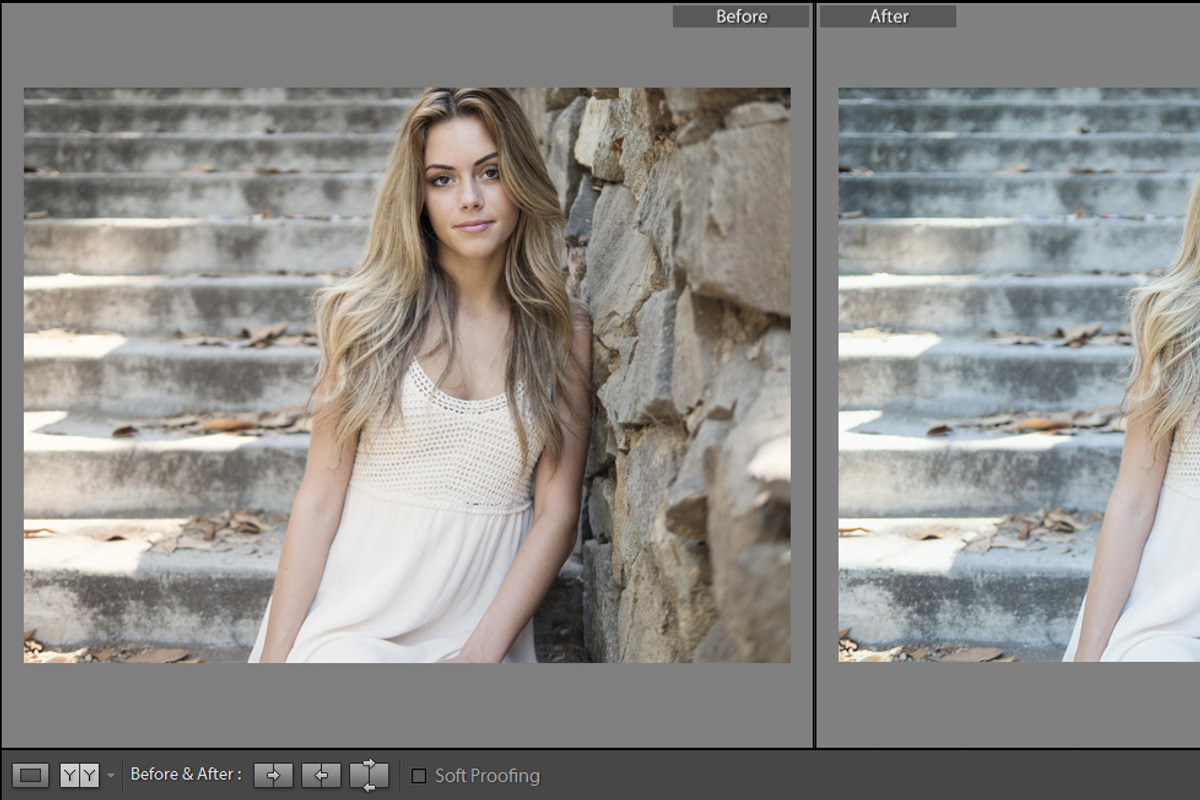 Cinematic Lightroom Preset By Cmsvec, a Plug-in Add-On by CMSvec (Photo 8 of 10)