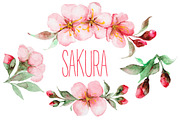 Sakura watercolor set, a Decorative Illustration by IvanFet (Thumbnail 1 of 2)