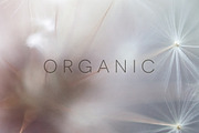 Organic | 20 Botanical Photos, a Nature Photo by Melanie Helena (Thumbnail 11 of 20)