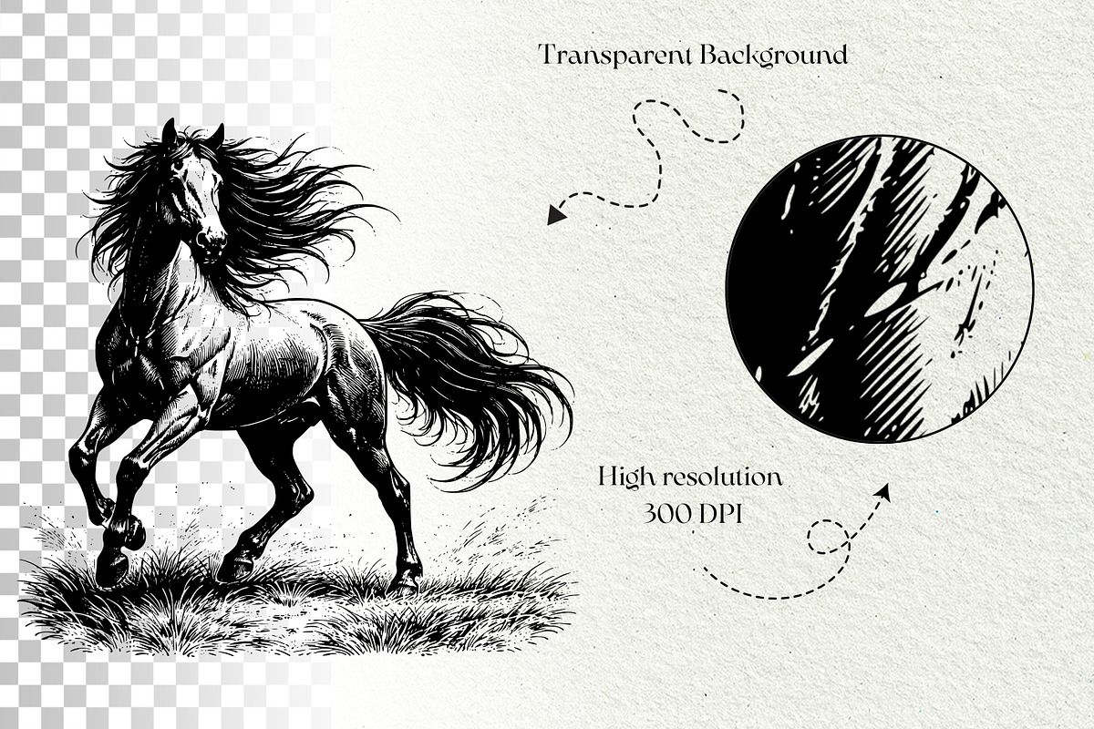 Wild Horse SVG Graphics Bundle, an Animal Illustration by DENIDigitalArtSudio (Photo 8 of 8)
