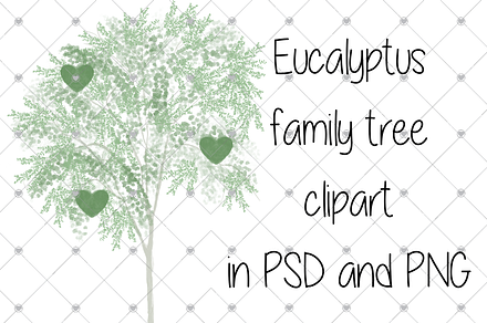 Family tree clipart, Eucalyptus tree