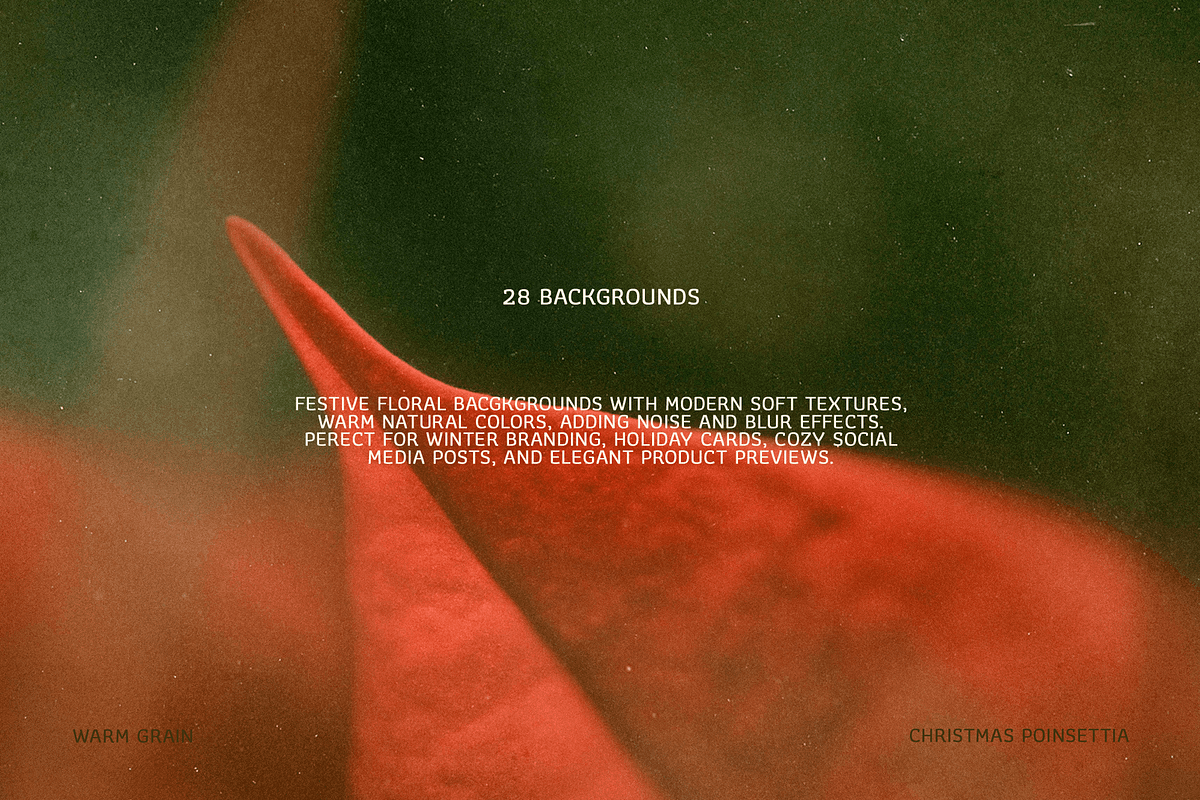 Christmas Poinsettia - Soft Floral, a Background Graphic by DigARTbyHavroshka (Photo 2 of 9)