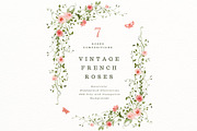 French roses with butterflies, a Decorative Illustration by AnnelyBlooms (Thumbnail 3 of 8)