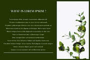 Qitello Ligature Serif Typeface, a Serif Font by Alfinart (Thumbnail 2 of 10)
