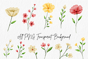 Wildflowers Watercolor Bundle, a Decorative Illustration by An Design (Thumbnail 2 of 8)
